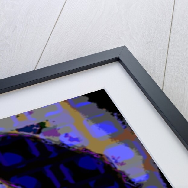 Frank Zappa by Scott J. Davis