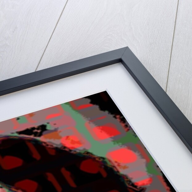 Frank Zappa by Scott J. Davis