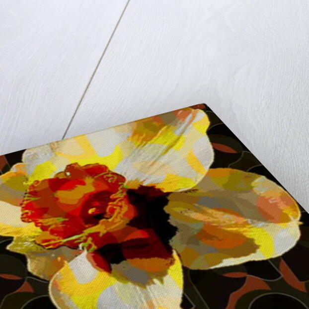 Daffodil, 2010 by Scott J. Davis