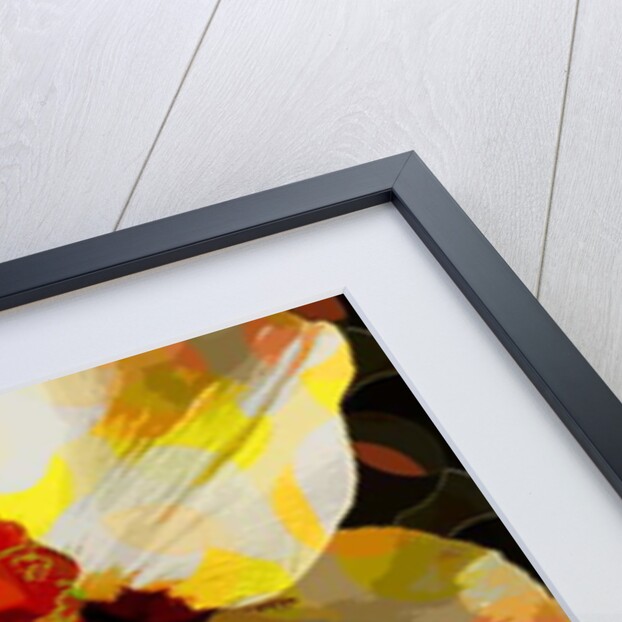 Daffodil, 2010 by Scott J. Davis