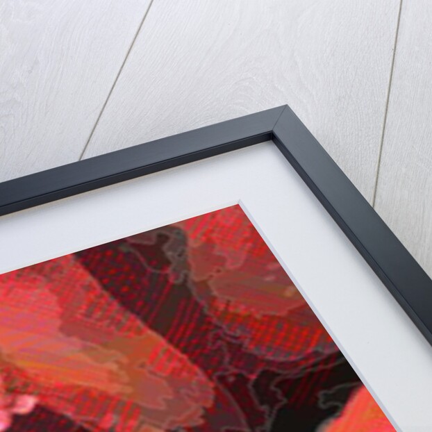 Orange Iris, 2013 by Scott J. Davis