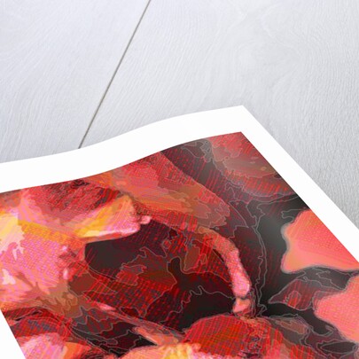 Orange Iris, 2013 by Scott J. Davis