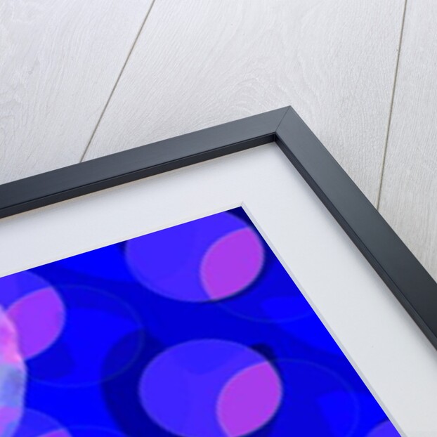 Poppy, 2010 by Scott J. Davis