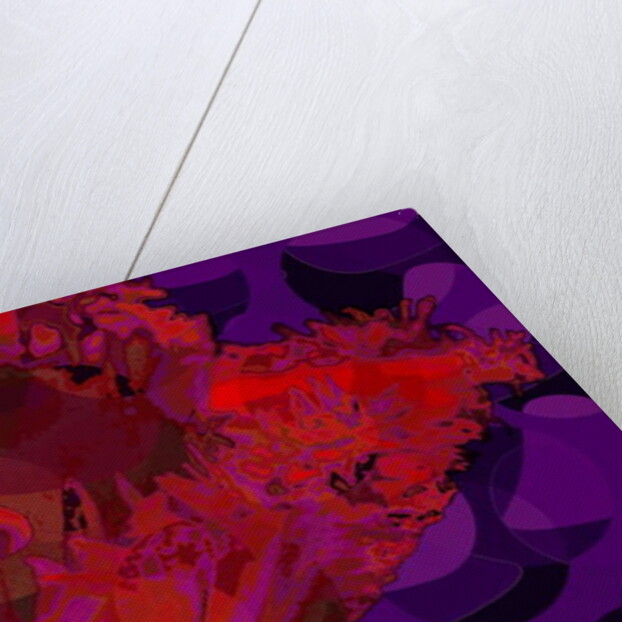 Red Tulip, 2010 by Scott J. Davis