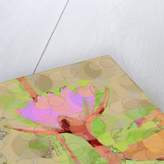 Water Lily Reflection, 2010 by Scott J. Davis