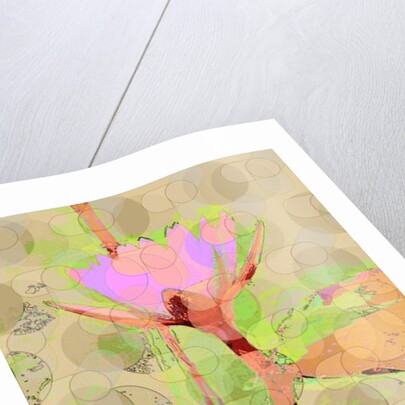 Water Lily Reflection, 2010 by Scott J. Davis