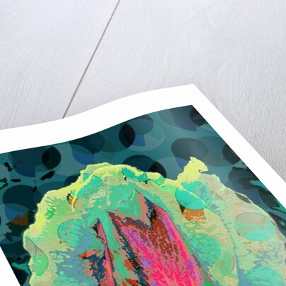 Tea Rose 4, 2010 by Scott J. Davis