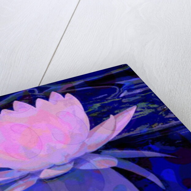 Pink Water Lily, 2011 by Scott J. Davis