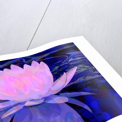 Pink Water Lily, 2011 by Scott J. Davis