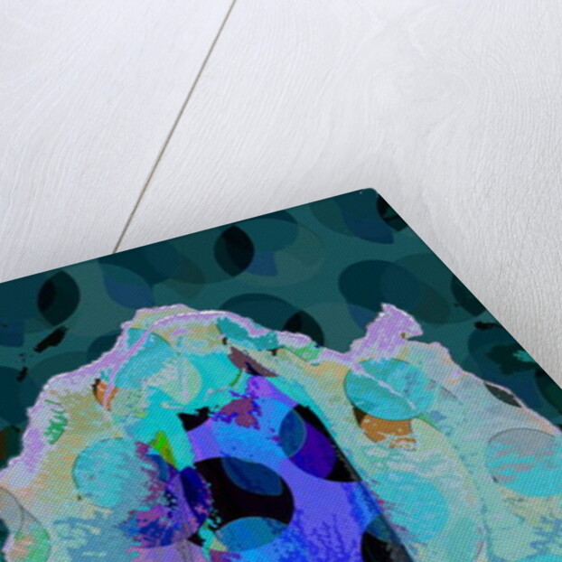 Tea Rose 5B, 2010 by Scott J. Davis