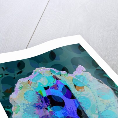 Tea Rose 5B, 2010 by Scott J. Davis