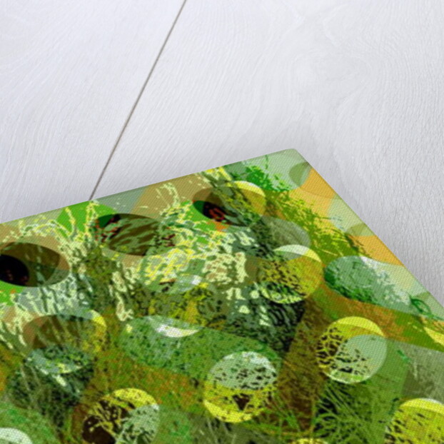 Spring Green, 2010 by Scott J. Davis