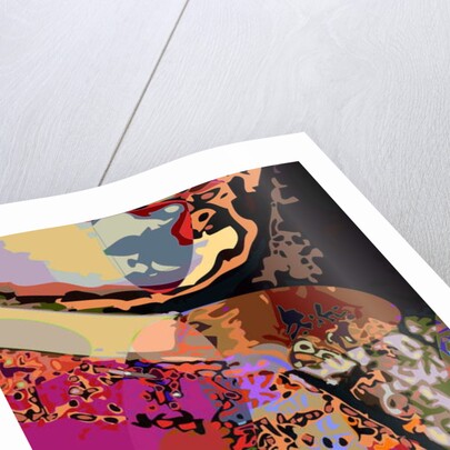 Mozart 3, 2008 by Scott J. Davis