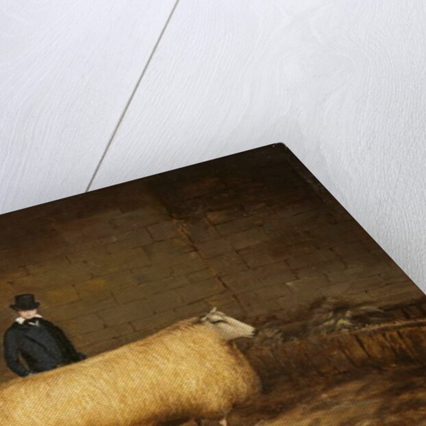 A Sheep and Its Owner by School English