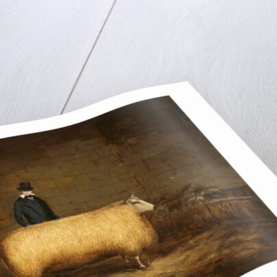 A Sheep and Its Owner by School English