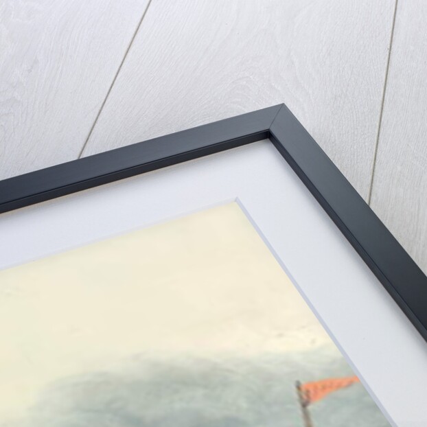 The 'Princess Alice', after 1878 by English School