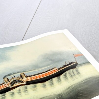 The 'Princess Alice', after 1878 by English School