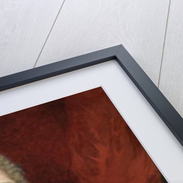 William Knee by English School