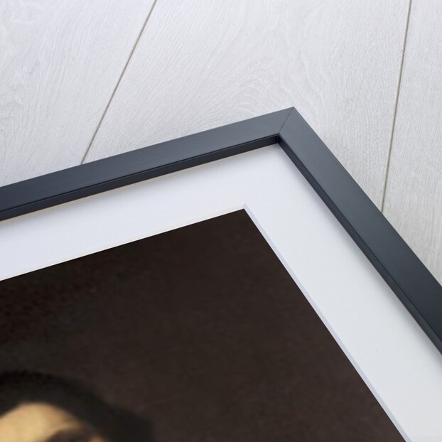 Portrait of Ignác Jetřich Vitanovský of Vlčkovice, 1669 by Karel Skreta