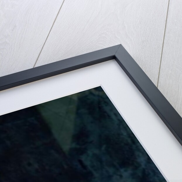 Portrait of King Karl XII by David von Krafft