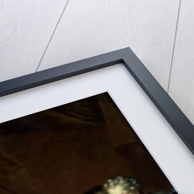 Venus Labor by David Klocker Ehrenstrahl