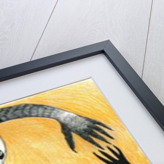 Fight, 2012 by Zanara/ Sabina Nedelcheva-Williams