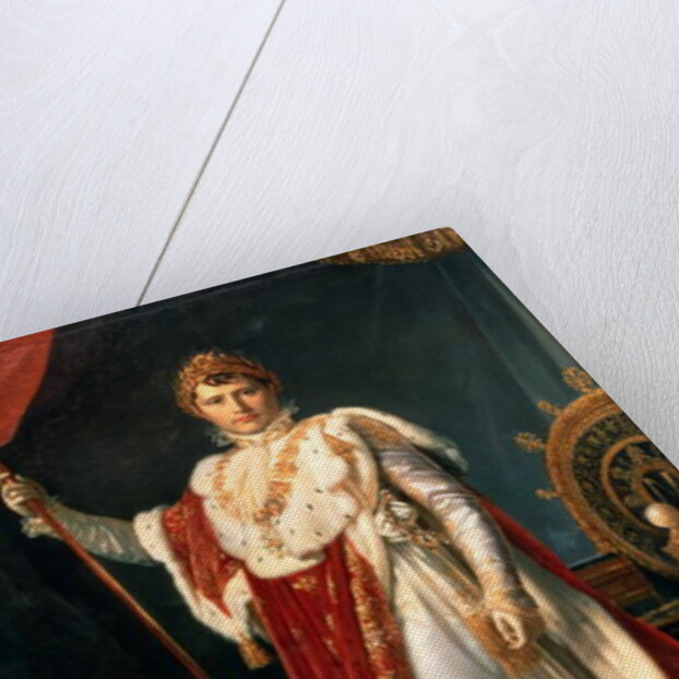 Napoleon Bonaparte in his coronation rob, c.1804 by Francois Pascal Simon Baron Gerard