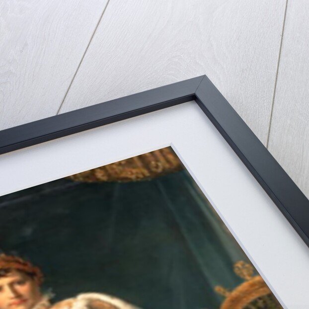 Napoleon Bonaparte in his coronation rob, c.1804 by Francois Pascal Simon Baron Gerard