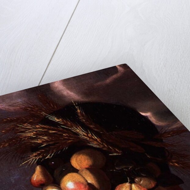 Summer, detail by Giuseppe Arcimboldo