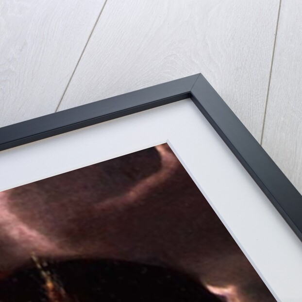 Summer, detail by Giuseppe Arcimboldo