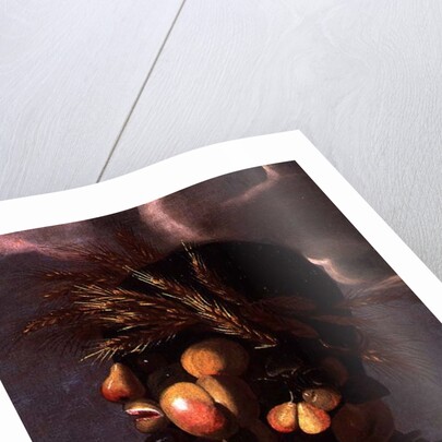 Summer, detail by Giuseppe Arcimboldo