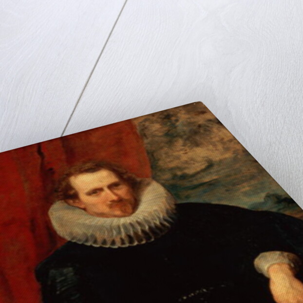 Portrait of a Man by Anthony van Dyck