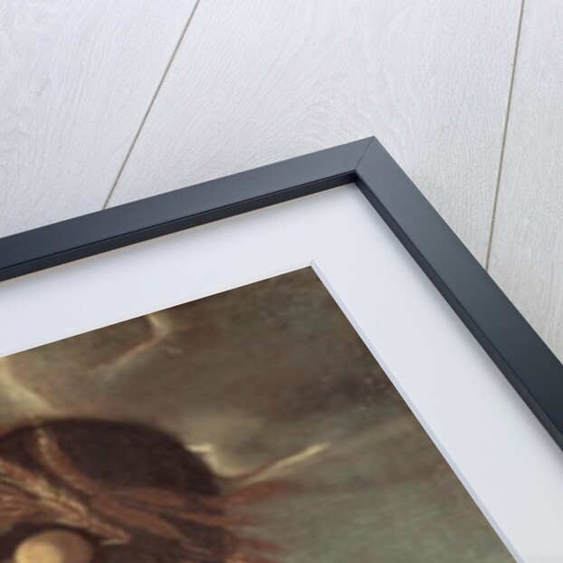 Summer by Giuseppe Arcimboldo