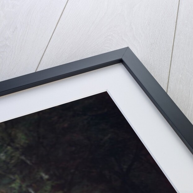 A Shady Corner by William Snr. Shayer