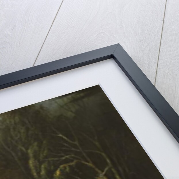 Diana asleep in a Woodland Glade by English School