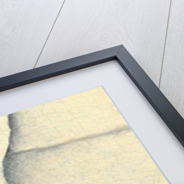 Portrait of the artist's sister in the garb of a nun, 1551 by Sofonisba Anguissola