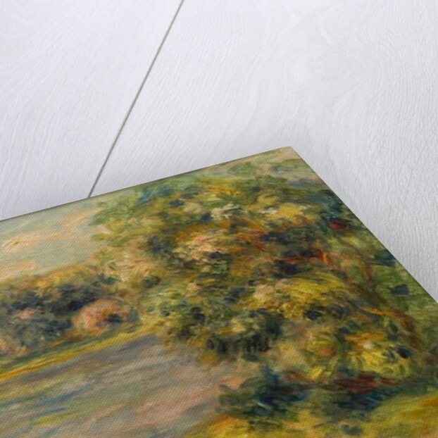 The Boat on the Lake, 1901 by Pierre Auguste Renoir