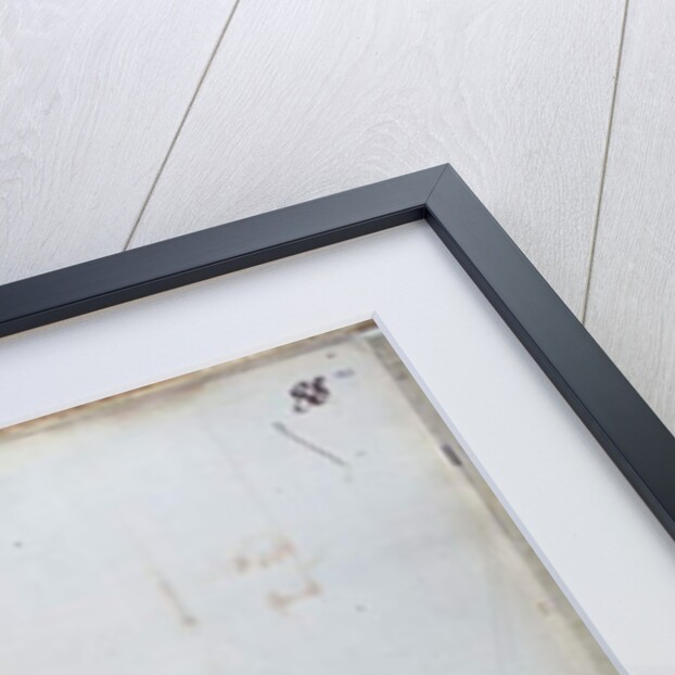 Ms 25517/1 fol.88 Map of the village of Belchamp St. Paul, 1576 by Israel Amyce