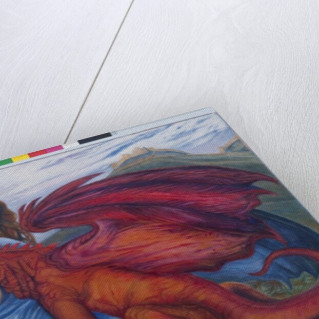 In the absence of St.George, 2009 by Silvia Pastore