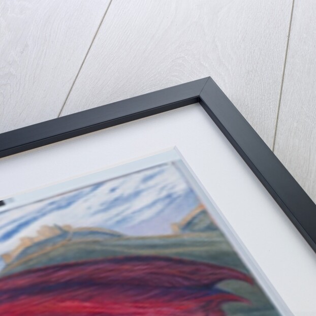 In the absence of St.George, 2009 by Silvia Pastore