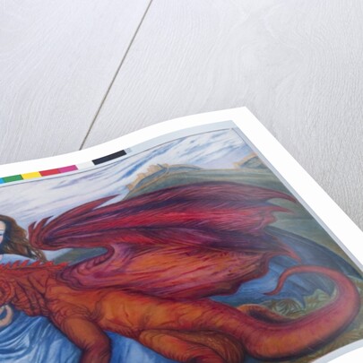 In the absence of St.George, 2009 by Silvia Pastore