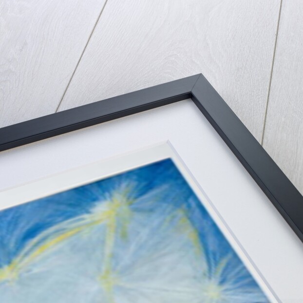 The Maker of the Charmed Garden by Silvia Pastore