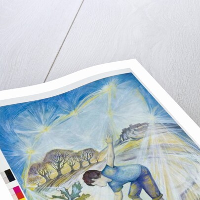 The Maker of the Charmed Garden by Silvia Pastore