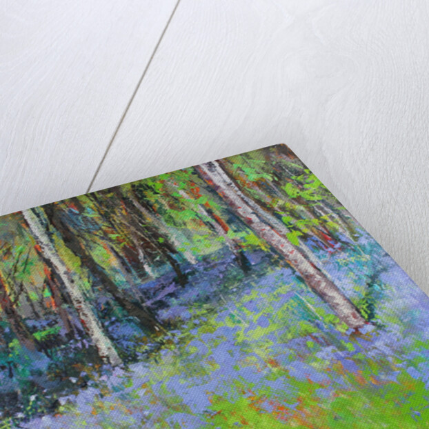 Bluebells and Birches, 2017 by Sylvia Paul