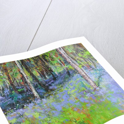 Bluebells and Birches, 2017 by Sylvia Paul