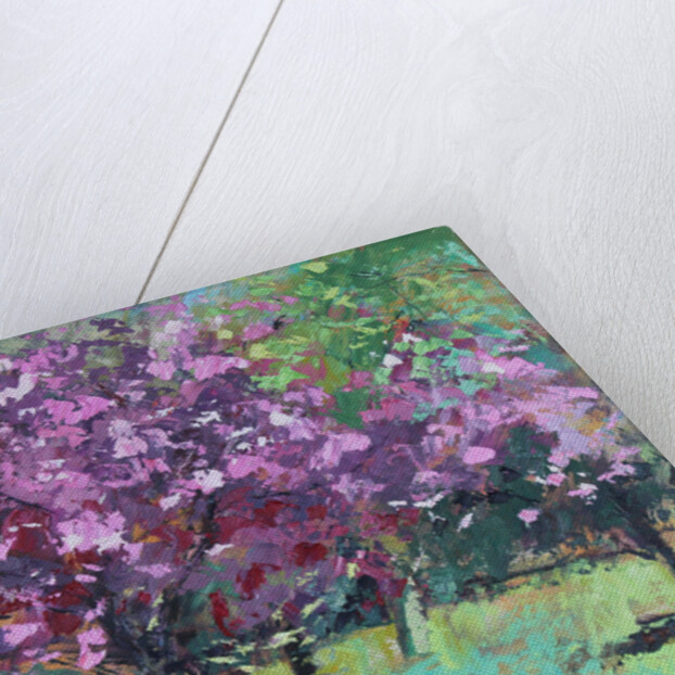 Blossom in the Park, 2016 by Sylvia Paul