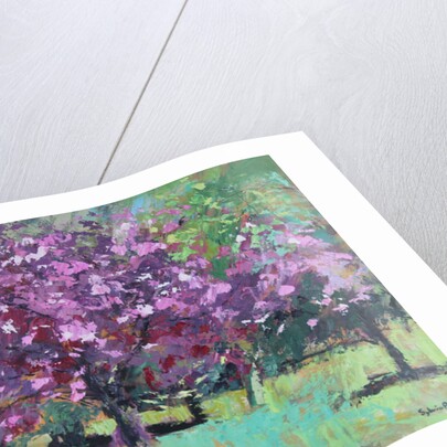 Blossom in the Park, 2016 by Sylvia Paul