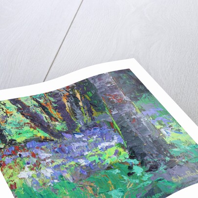 Bluebell Patch by Sylvia Paul
