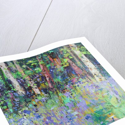 Bluebell Time, 2017 by Sylvia Paul