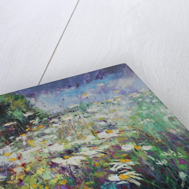 Daisy Meadow, 2017 by Sylvia Paul